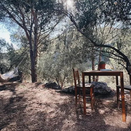 Seyil House Holiday home
